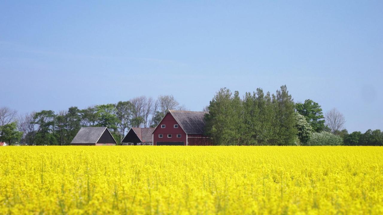 Vikens Bed And Breakfast Viken  Экстерьер фото